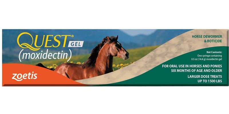 QUEST GEL (MOXIDECTIN) HORSE DEWORMER &amp; BOTICIDE