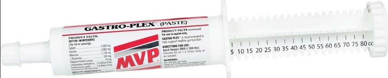 GASTRO-PLEX PASTE 80 ML.