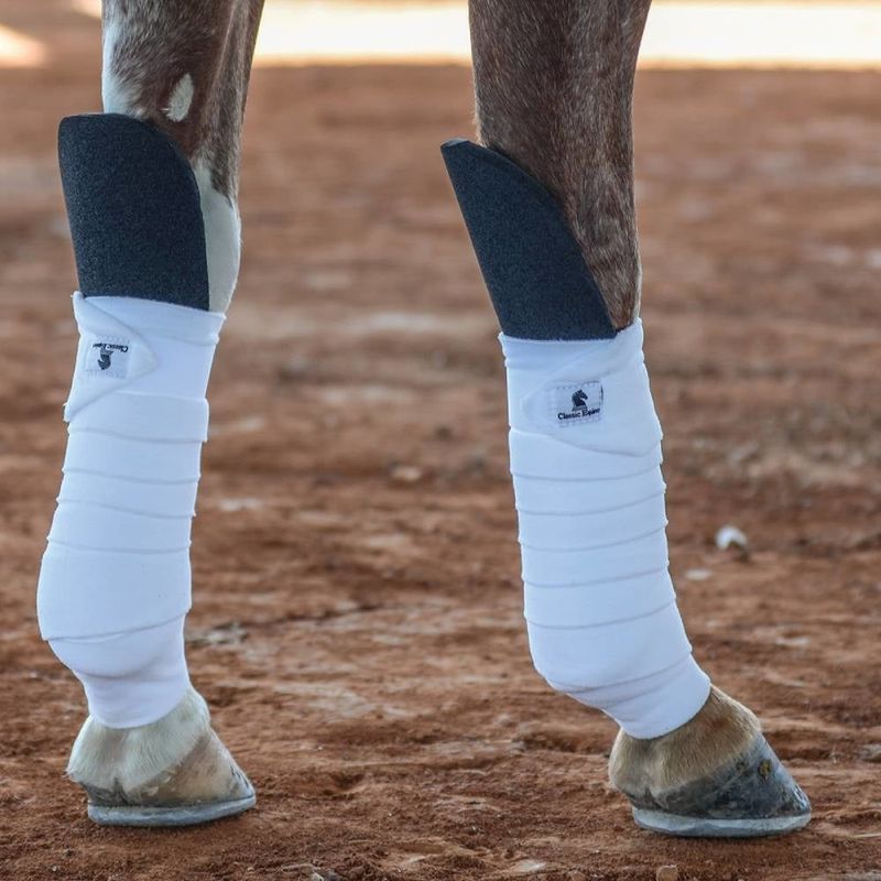 CLASSIC EQUINE KNEE GUARD