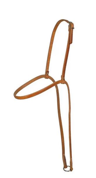 REINSMAN SHARON CAMARILLO BROWBAND TIE DOWN