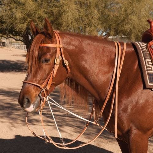 GERMAN MARTINGALE SPLI
