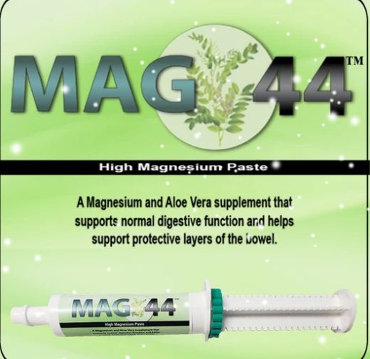 OXY-GEN EQUINE MAG 44 SUPPLEMENT 80CC