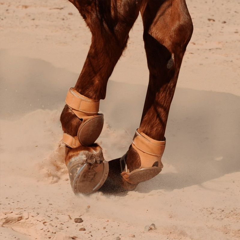 CLASSIC EQUINE LEATHER SKID BOOT