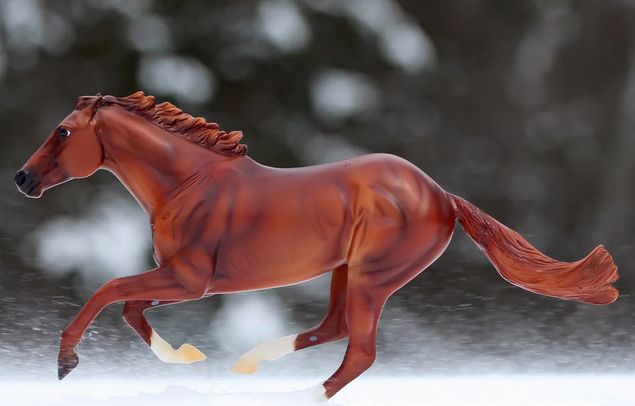 BREYER SECRETARIAT
