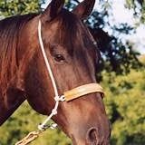 HTDRL HEADSET TIEDOWN ROPE LEATHER COVER