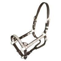 Leather Halter W/Lead Mini/Large