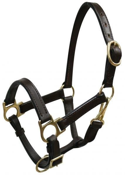 WEANLING LEATHER HALTER