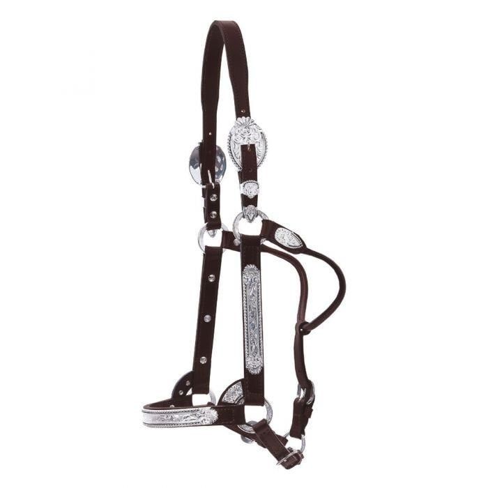 CIRCLE Y SCALLOPED BLACK BEAD SHOW HALTER