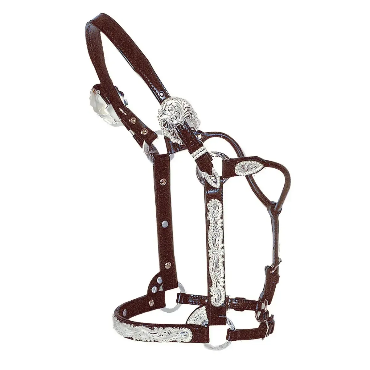 CIRCLE Y BERRY EDGE SHOW HALTER