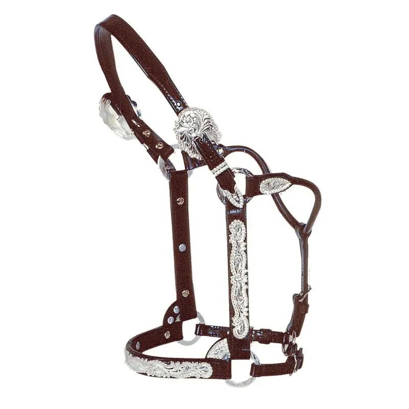 CIRCLE Y BERRY EDGE SHOW HALTER