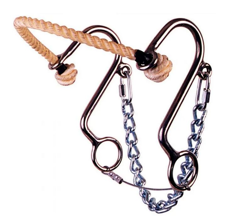 REINSMAN LITTLE S HACKAMORE PONY