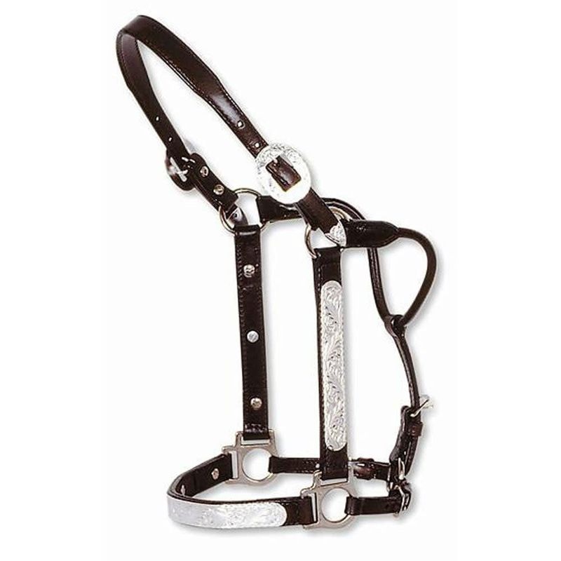 CIRCLE Y ENGRAVED SILVER CENTER YEARLING SHOW HALTER