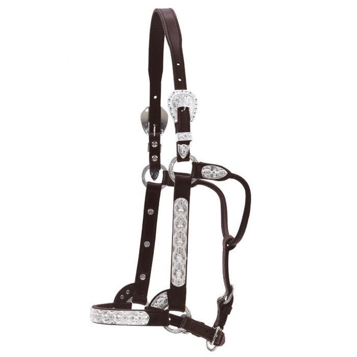 CIRCLE Y FLOWER AND BLUE STONE SHOW HALTER