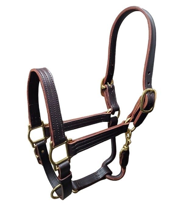 KENTUCKY LEATHER HORSE HALTER