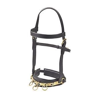 LUNGE CAVESON LEATHER