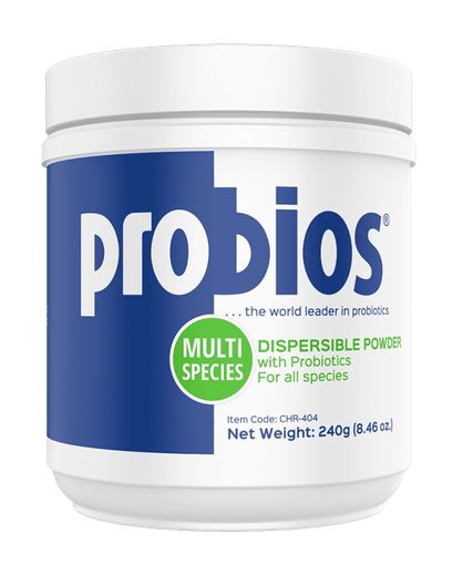 PROBIOS DISPERSIBLE POWDER 240G