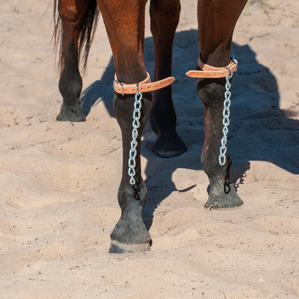 MARTIN SADDLERY PAWING CHAINS ABOVE KNEE