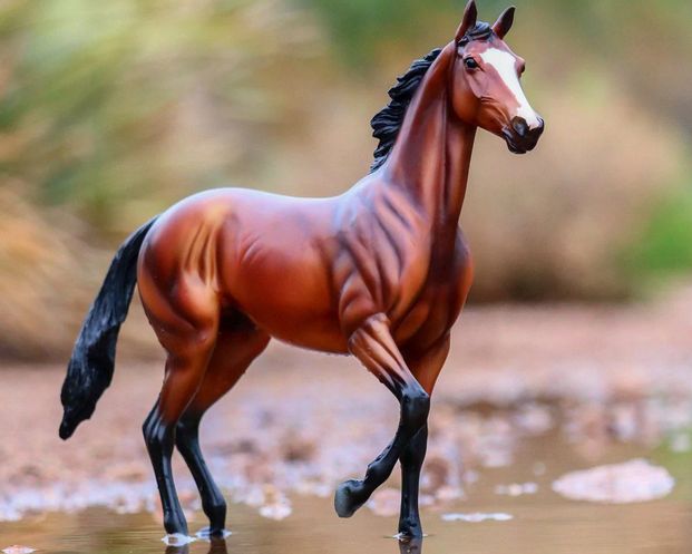 BREYER TIZ THE LAW