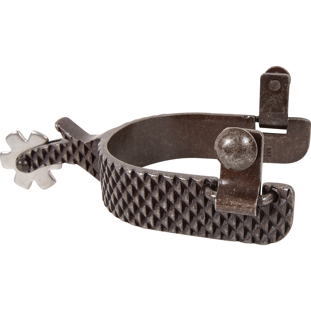 CLASSIC EQUINE RASP SPURS 1-INCH BAND WITH CHAP GUARD