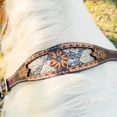 CIRCLE Y PYTHON PASS WITHER STRAP