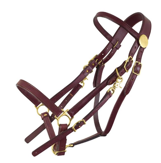 TUCKER CLASSIC STANDARD HALTER BRIDLE