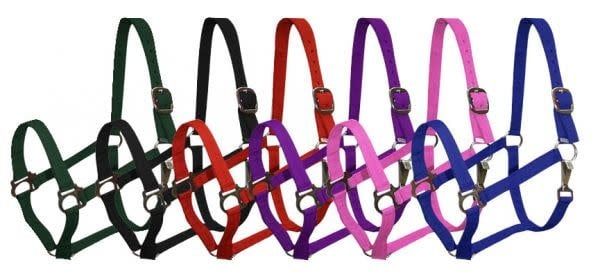 SHOWMAN 2 PLY NYLON PONY HALTER (ASSORTED COLORS)