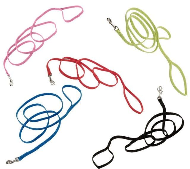 SUNBURST NYLON LEASH