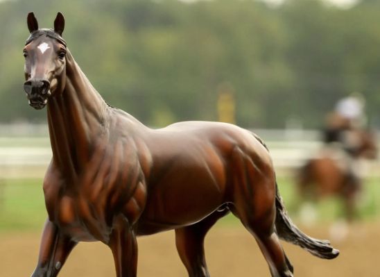 BREYER CODY&#39;S WISH