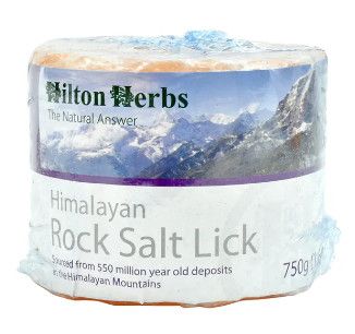 HIMALAYAN SALT LICK W/ROPE 6.6 LB MEDIUM