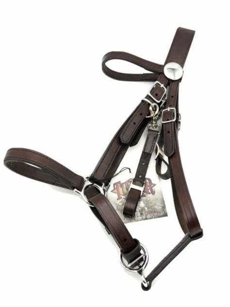 TUCKER STANDARD HORSE HALTER BRIDLE W/CHROME