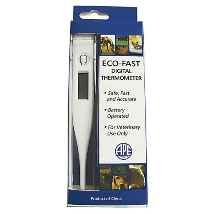 ECO-FAST DIGITAL THERMOMETER