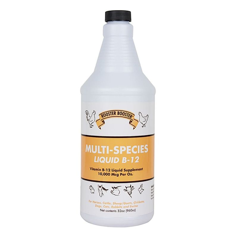 LIQUID B-12 SUPPLEMENT 32 OZ.
