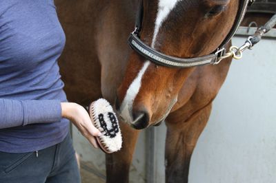 Grooming Supplies