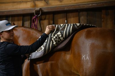 Saddle Blanket