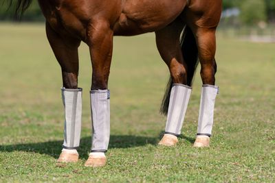 Fly Boots