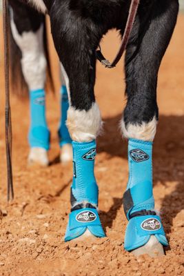 Leg Gear