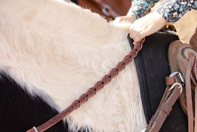 Reins