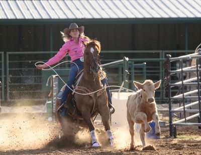 Calf roping