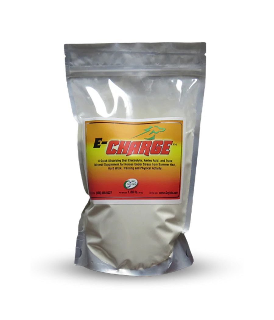 OXY-GEN E-CHARGE 2 LBS.