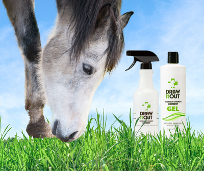 Liniment/Poultice