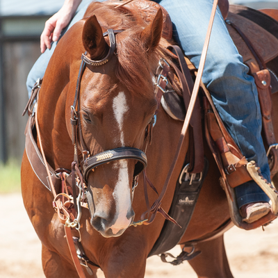 Tie Downs/Nosebands