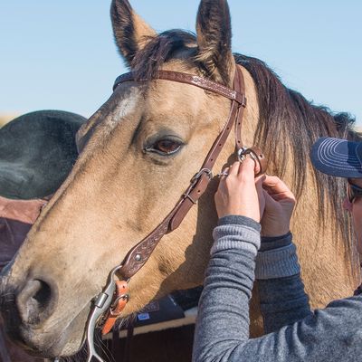 Headstall