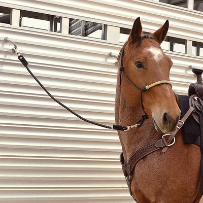 Trailer Accessories