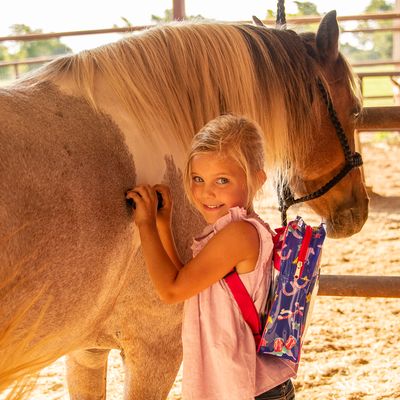 Pony