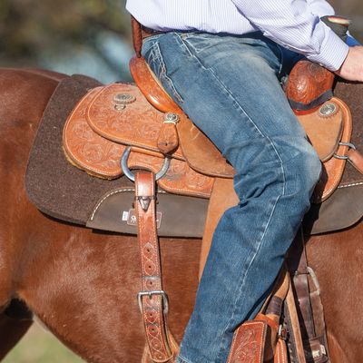Back Cinch