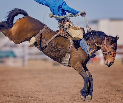 Rodeo