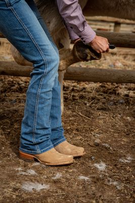 Bootcut