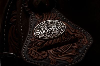 StingRay