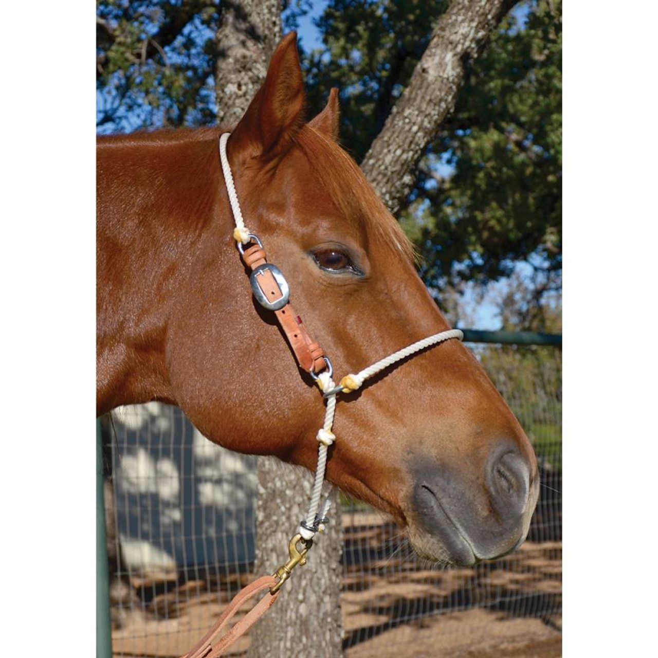 MARTIN SADDLERY ADJUSTABLE HEADSETTER TIE DOWN