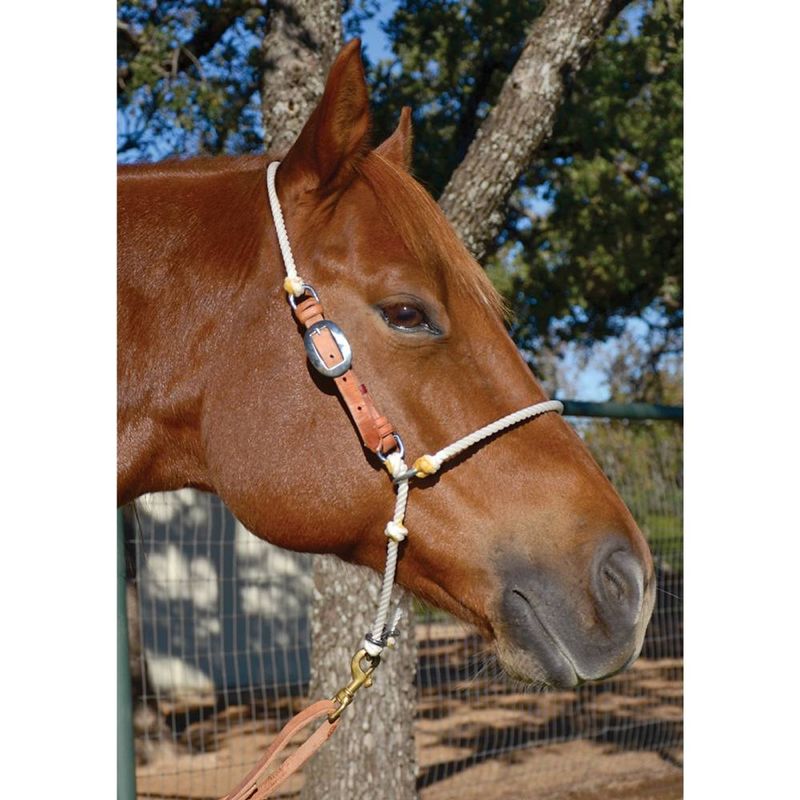 MARTIN SADDLERY ADJUSTABLE HEADSETTER TIE DOWN